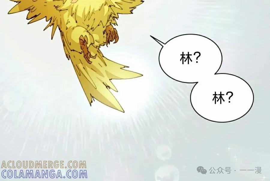 《勇者转世的大魔法师》第60集 第55页