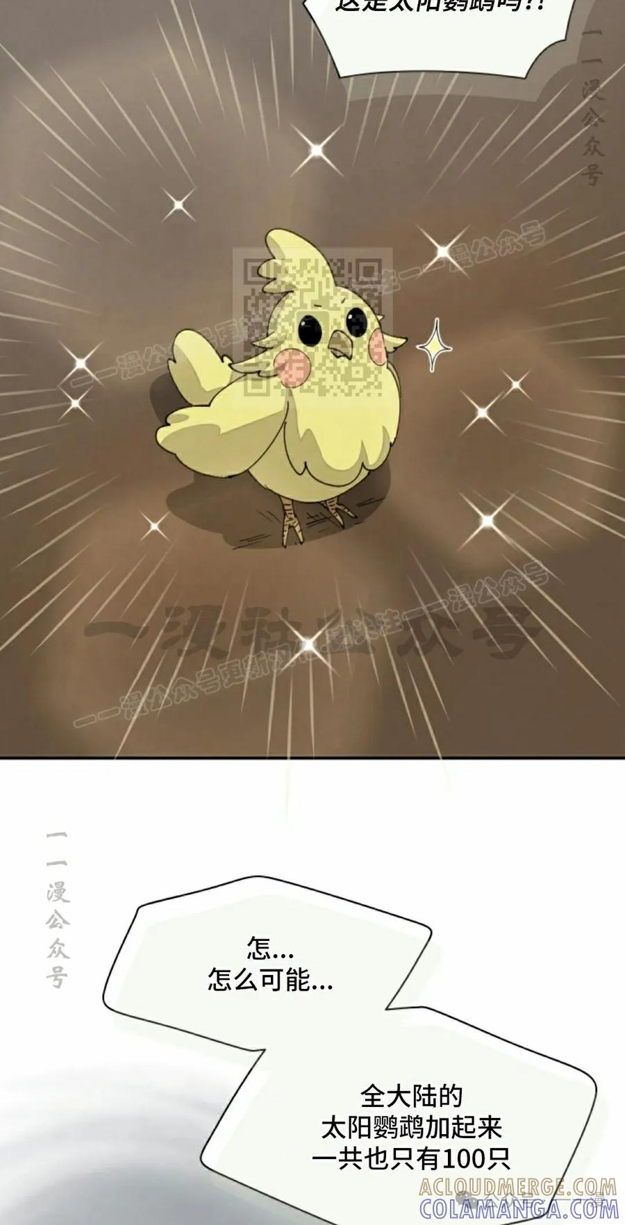 《勇者转世的大魔法师》第63集 第16页