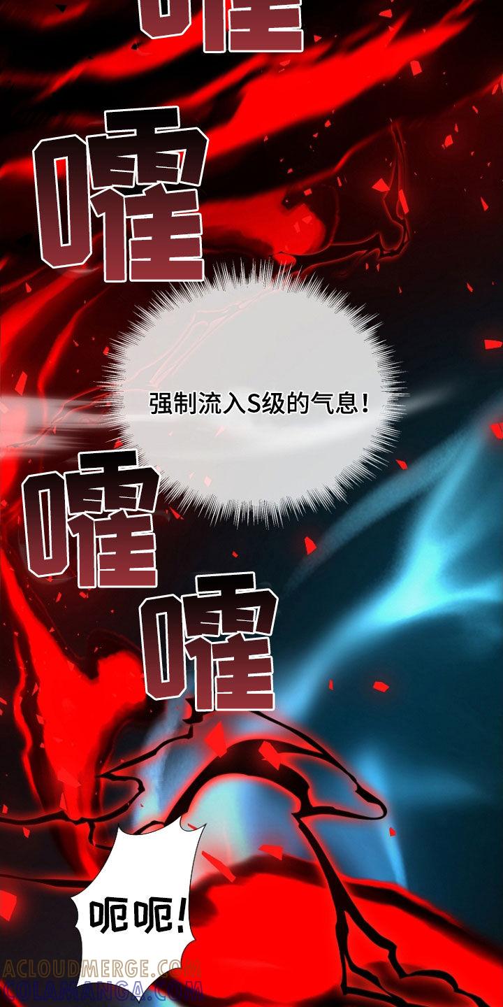《双重血脉》第52章：打架 第27页
