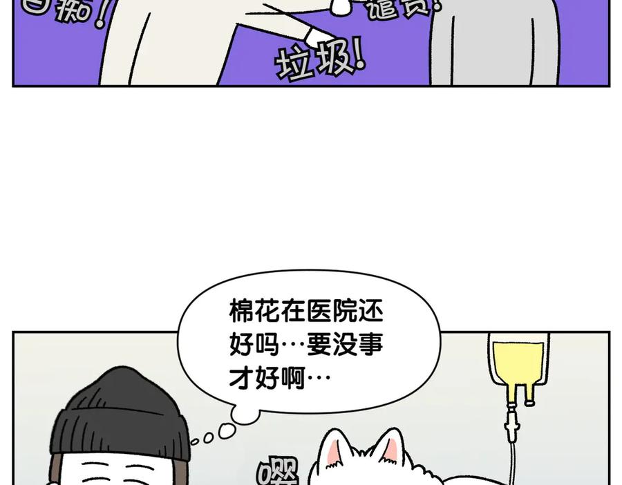 《我的狗子叫棉花》第56话 食用木糖醇口香糖事件 第42页