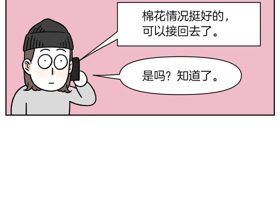 《我的狗子叫棉花》第56话 食用木糖醇口香糖事件 第44页