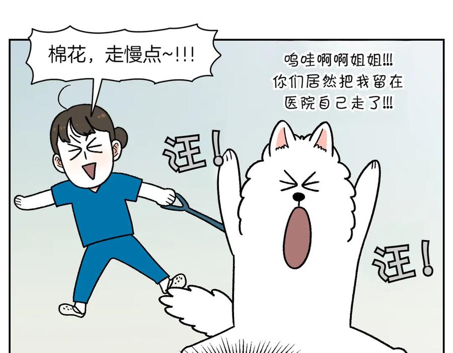 《我的狗子叫棉花》第56话 食用木糖醇口香糖事件 第45页