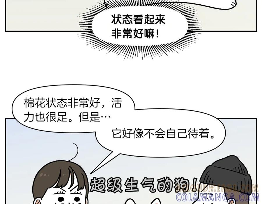《我的狗子叫棉花》第56话 食用木糖醇口香糖事件 第46页