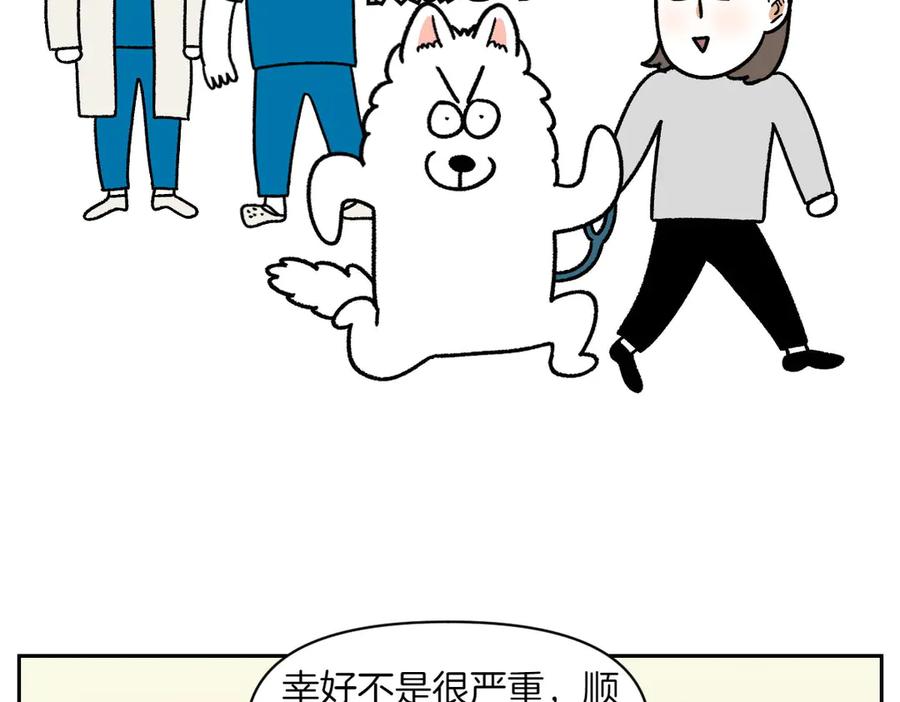 《我的狗子叫棉花》第56话 食用木糖醇口香糖事件 第50页