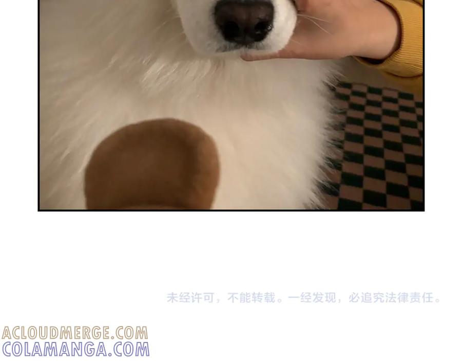 《我的狗子叫棉花》第56话 食用木糖醇口香糖事件 第55页