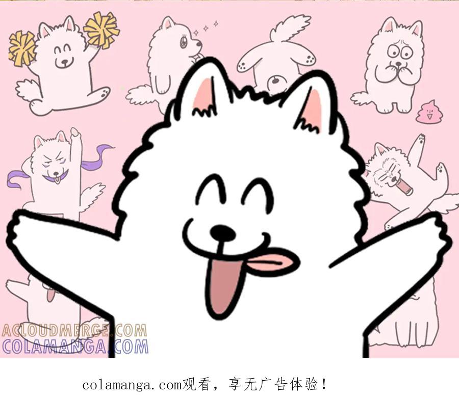 《我的狗子叫棉花》第56话 食用木糖醇口香糖事件 第1页