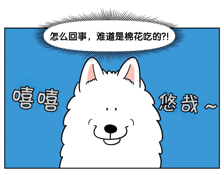 《我的狗子叫棉花》第56话 食用木糖醇口香糖事件 第20页