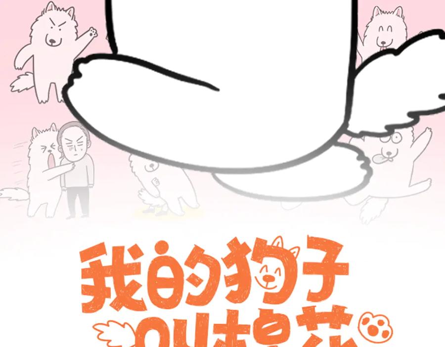 《我的狗子叫棉花》第56话 食用木糖醇口香糖事件 第2页