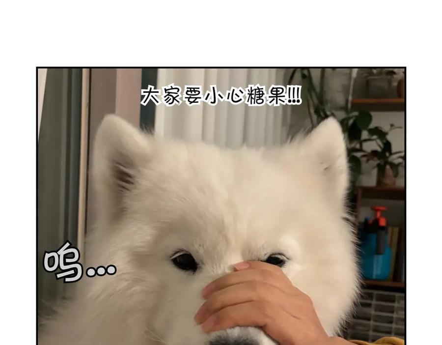 《我的狗子叫棉花》第56话 食用木糖醇口香糖事件 第54页