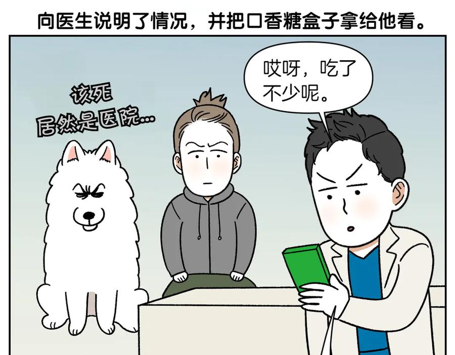 《我的狗子叫棉花》第56话 食用木糖醇口香糖事件 第33页