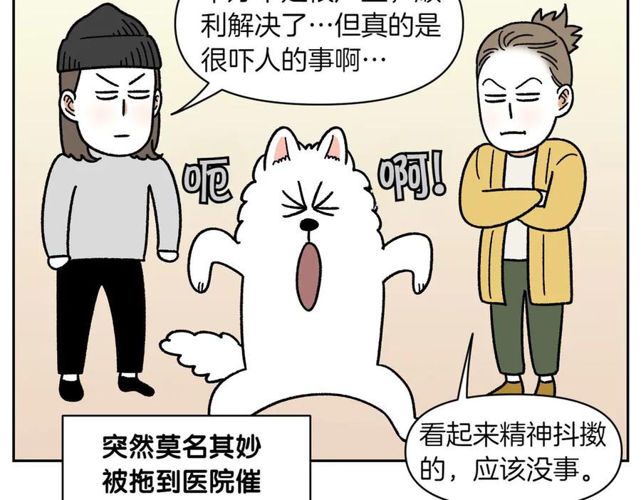 《我的狗子叫棉花》第56话 食用木糖醇口香糖事件 第51页