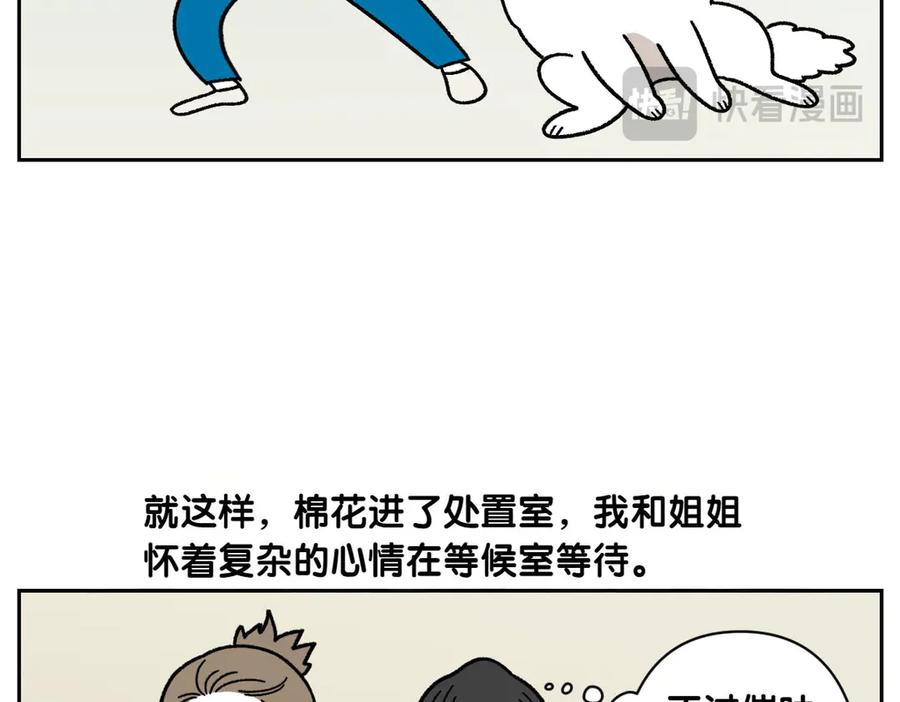 《我的狗子叫棉花》第56话 食用木糖醇口香糖事件 第36页