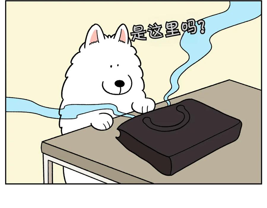 《我的狗子叫棉花》第56话 食用木糖醇口香糖事件 第11页