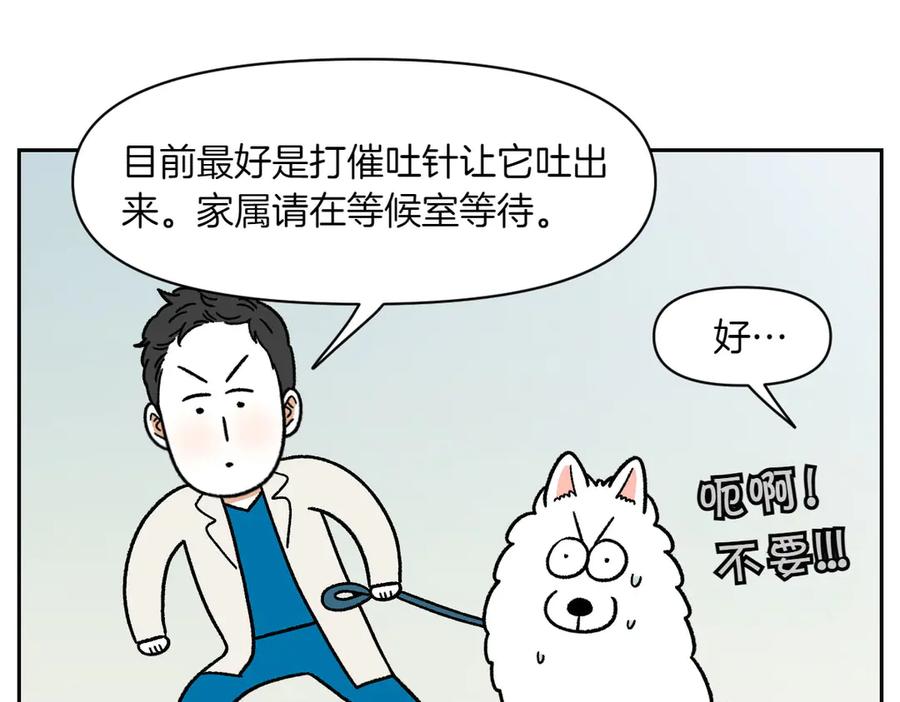 《我的狗子叫棉花》第56话 食用木糖醇口香糖事件 第35页