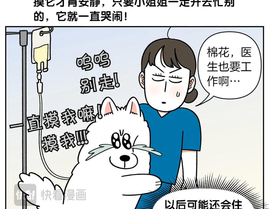 《我的狗子叫棉花》第56话 食用木糖醇口香糖事件 第48页
