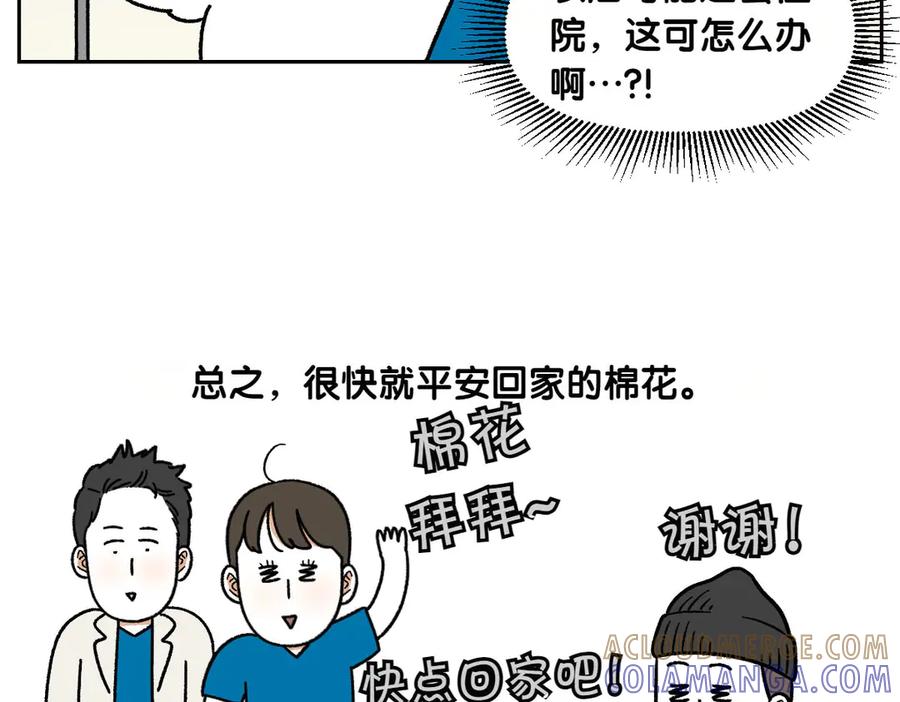 《我的狗子叫棉花》第56话 食用木糖醇口香糖事件 第49页