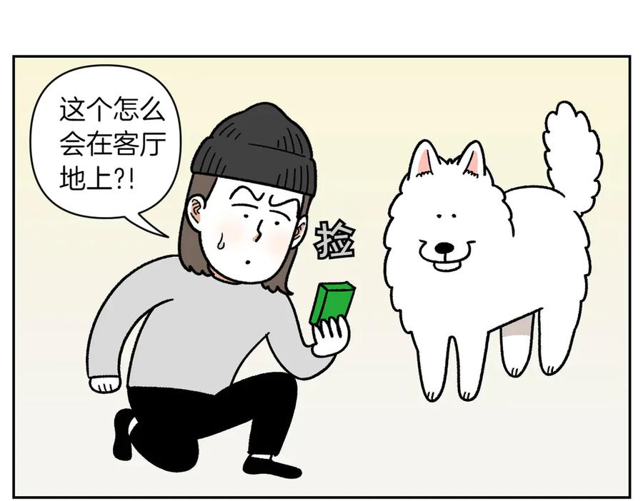 《我的狗子叫棉花》第56话 食用木糖醇口香糖事件 第15页