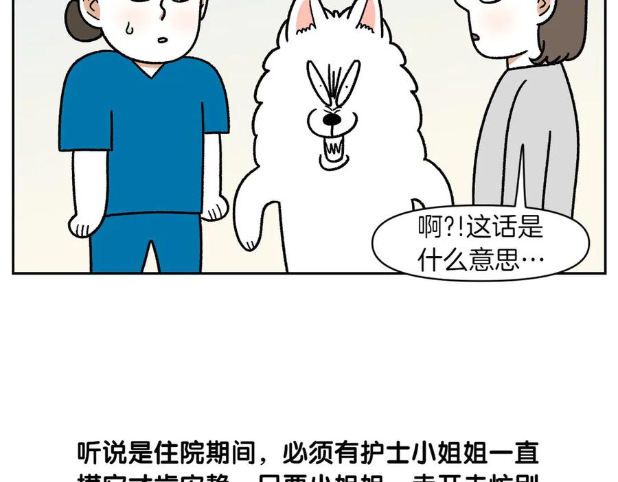 《我的狗子叫棉花》第56话 食用木糖醇口香糖事件 第47页