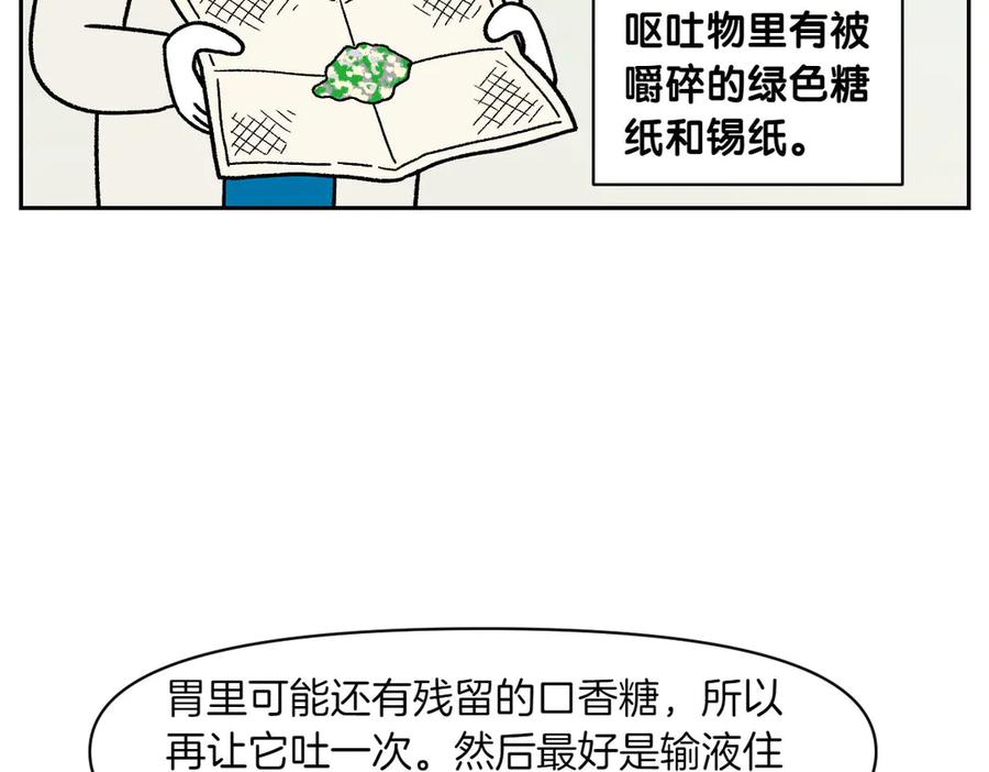 《我的狗子叫棉花》第56话 食用木糖醇口香糖事件 第39页