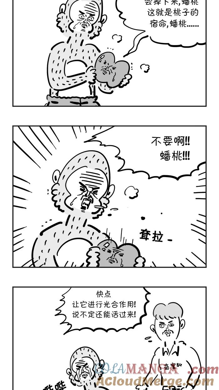 《疯狂西游记》[第41话] 桃子的宿命 第7页