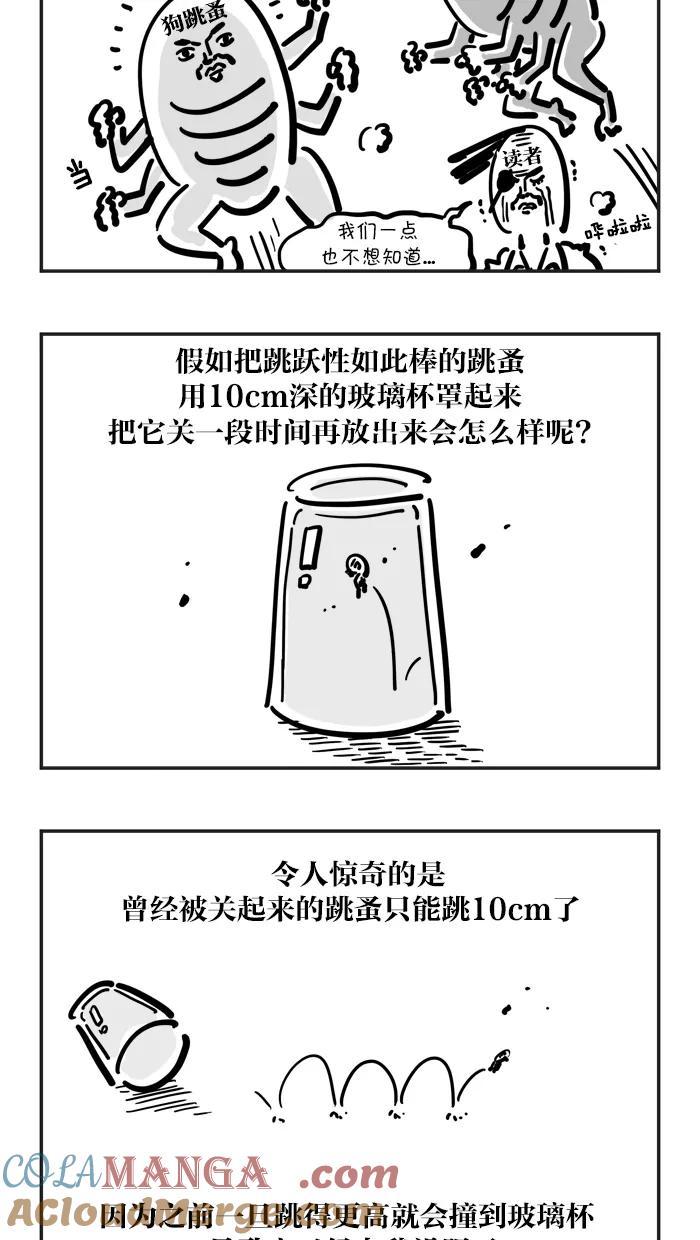 《疯狂西游记》[第61话] 坐骑的加入 第3页