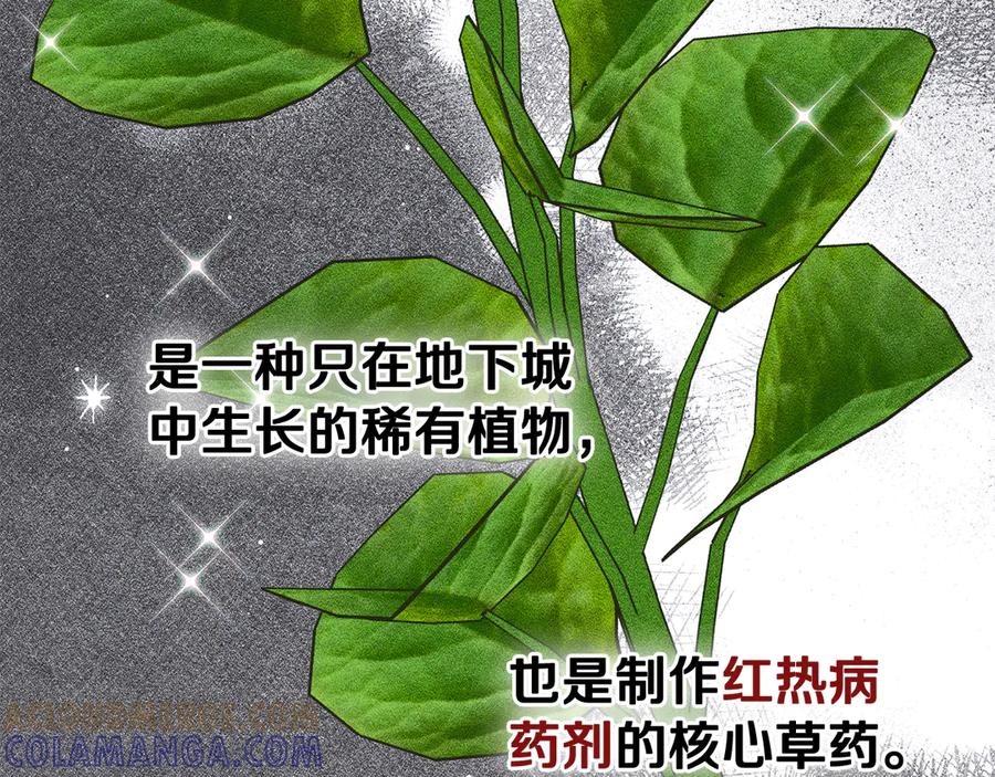 《驯养满级怪物》第29话 神秘大祭司 第17页