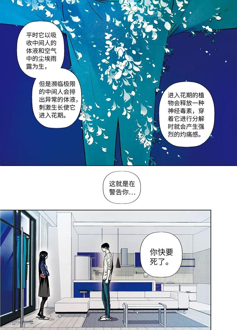 《寻找克洛托》42 第3页