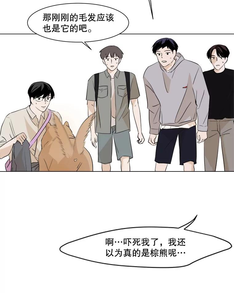 《寻找小艾》12.蓝色绣球花 第57页