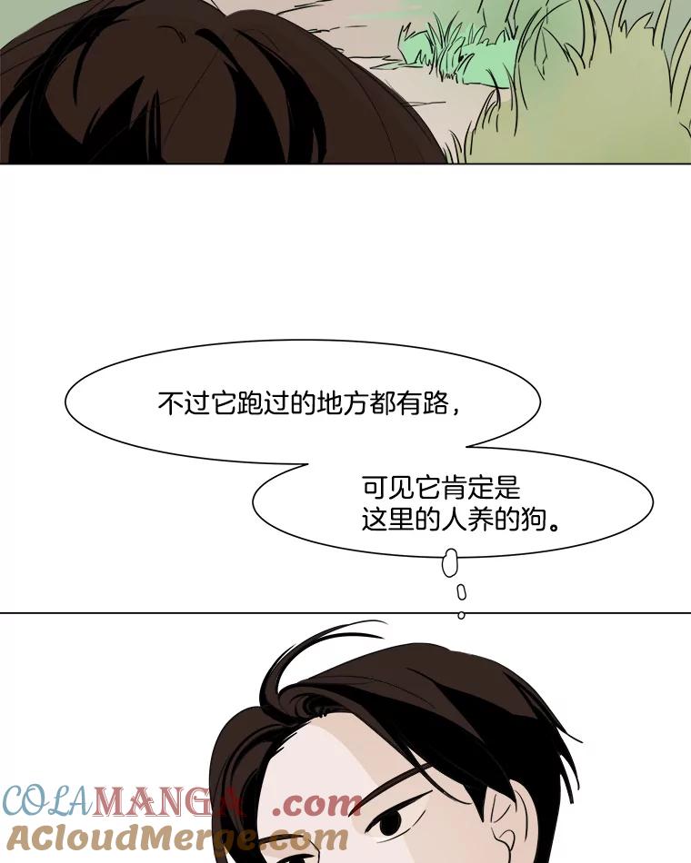 《寻找小艾》12.蓝色绣球花 第67页