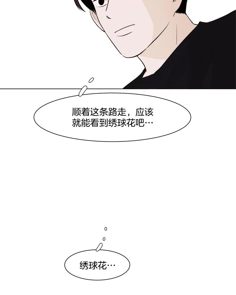 《寻找小艾》12.蓝色绣球花 第68页