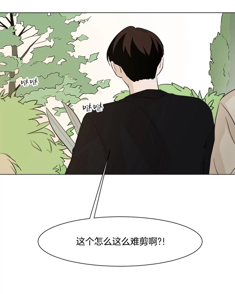 《寻找小艾》12.蓝色绣球花 第12页