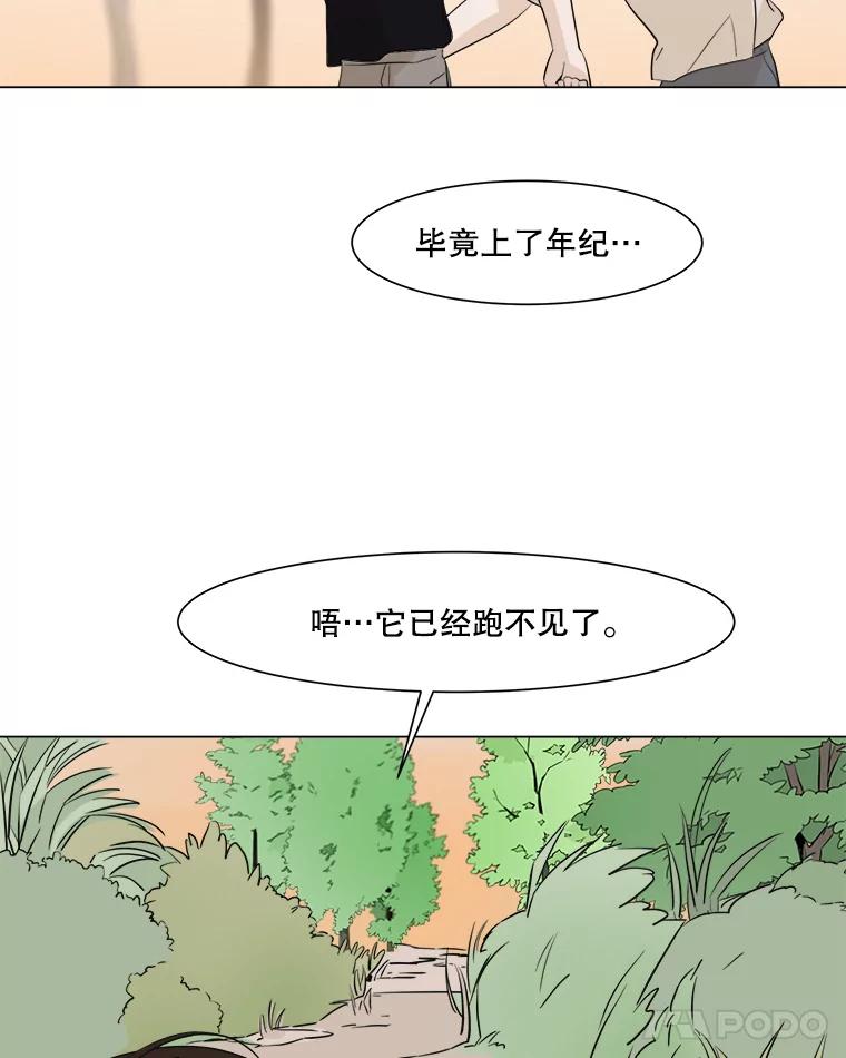 《寻找小艾》12.蓝色绣球花 第66页