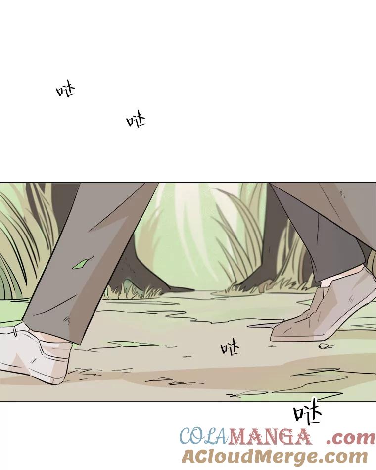 《寻找小艾》12.蓝色绣球花 第64页