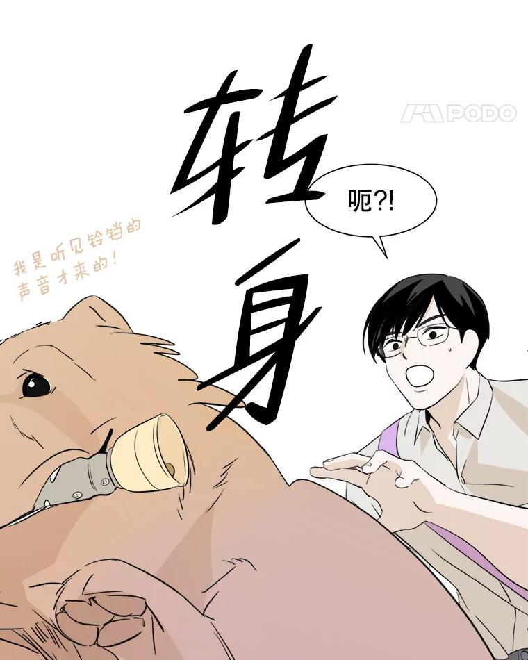 《寻找小艾》12.蓝色绣球花 第59页