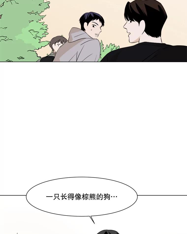 《寻找小艾》12.蓝色绣球花 第54页