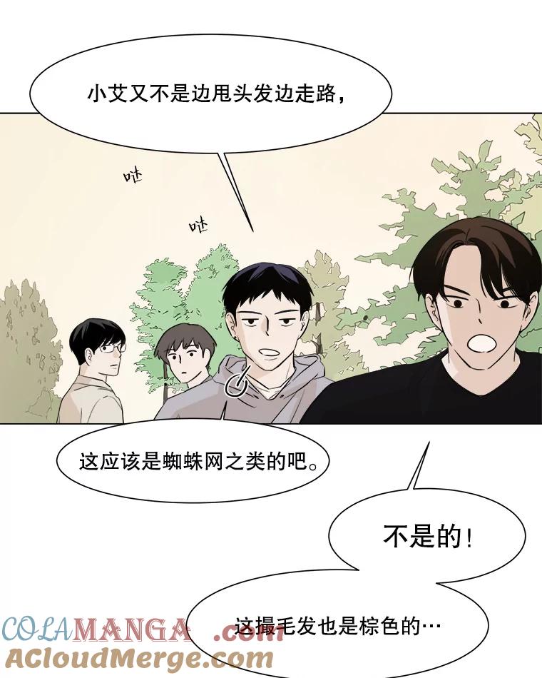 《寻找小艾》12.蓝色绣球花 第40页