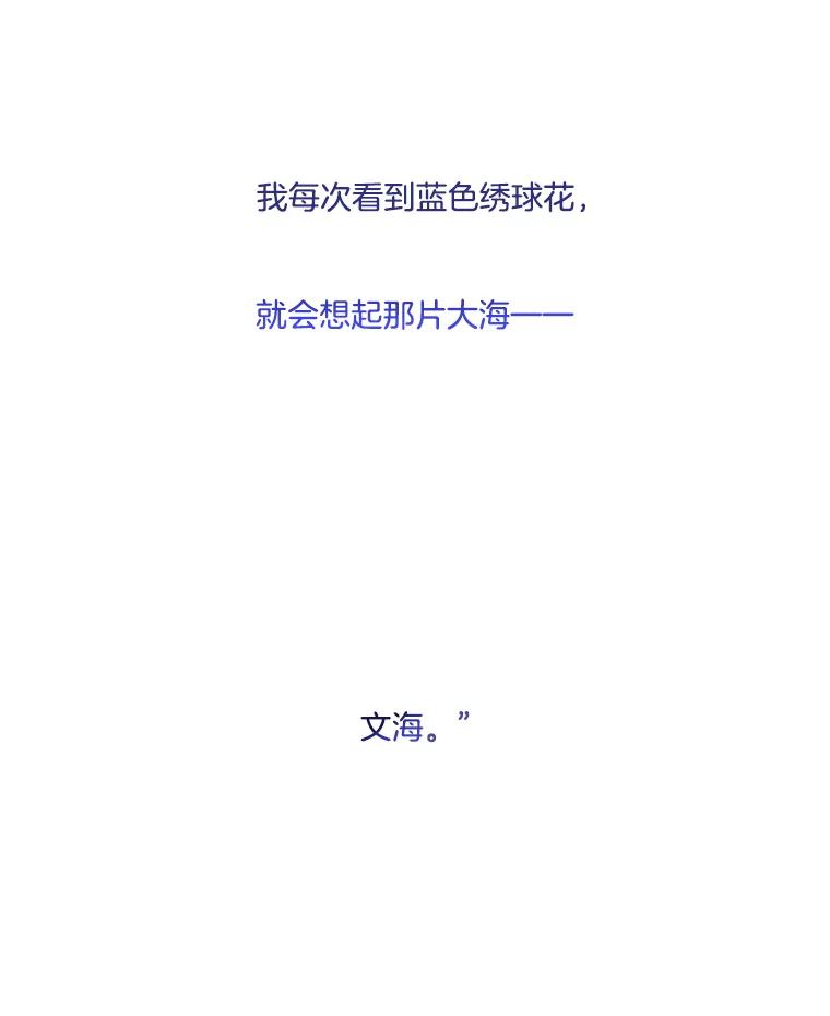 《寻找小艾》12.蓝色绣球花 第81页