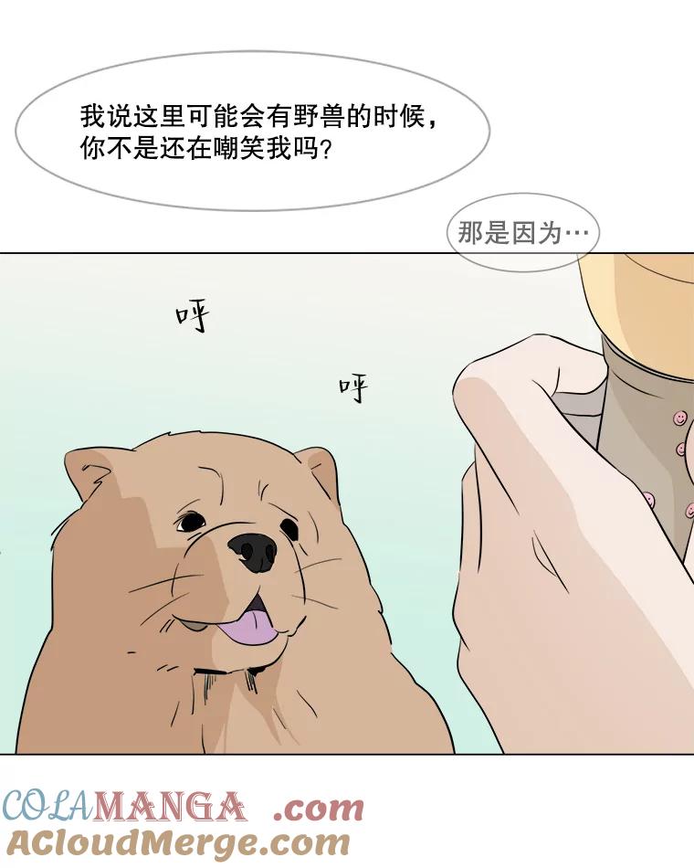 《寻找小艾》12.蓝色绣球花 第58页
