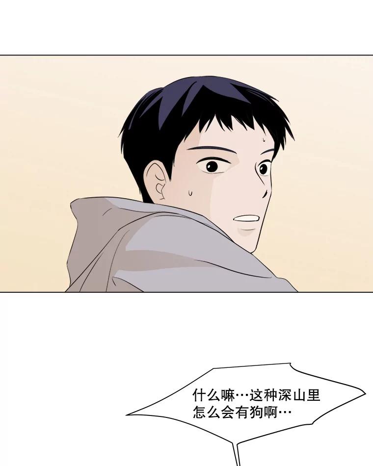 《寻找小艾》12.蓝色绣球花 第56页