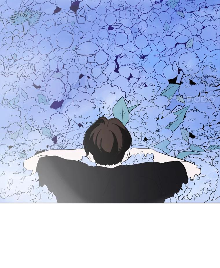 《寻找小艾》12.蓝色绣球花 第80页