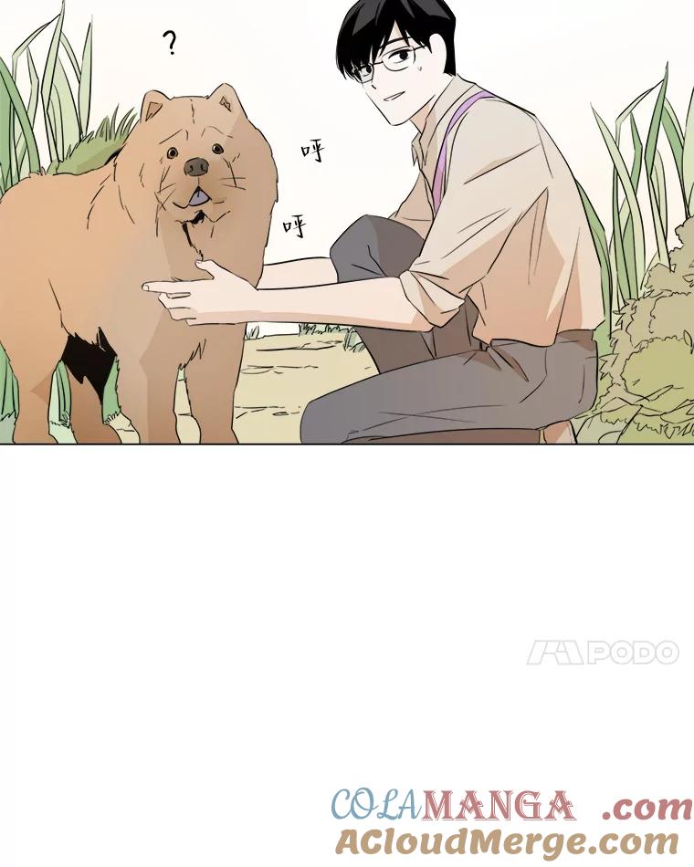 《寻找小艾》12.蓝色绣球花 第55页