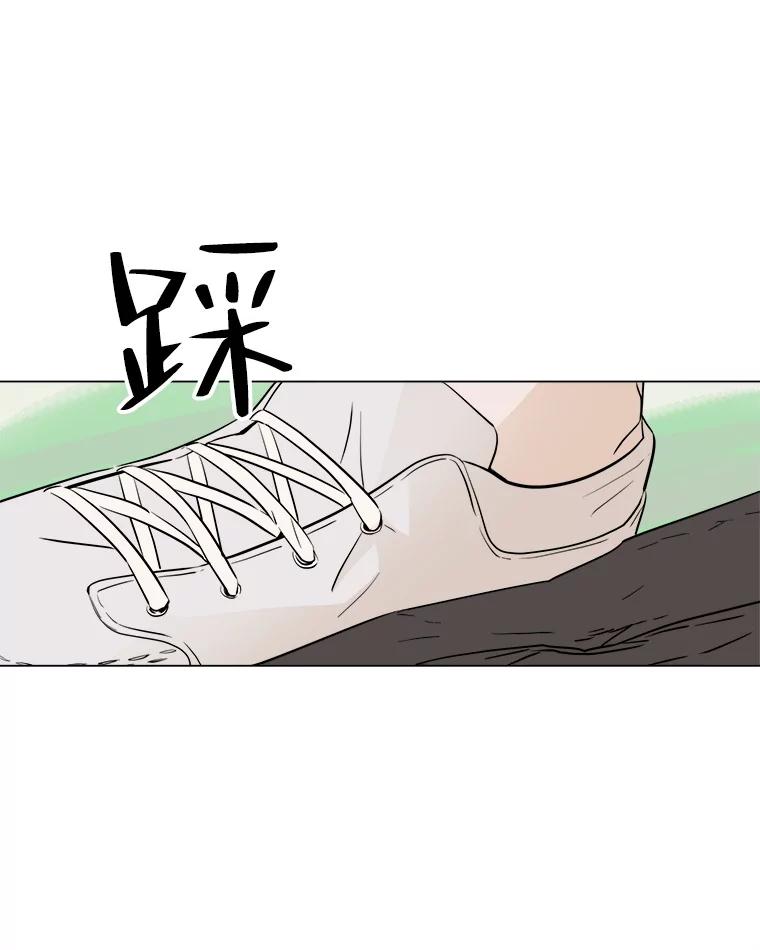 《寻找小艾》12.蓝色绣球花 第71页