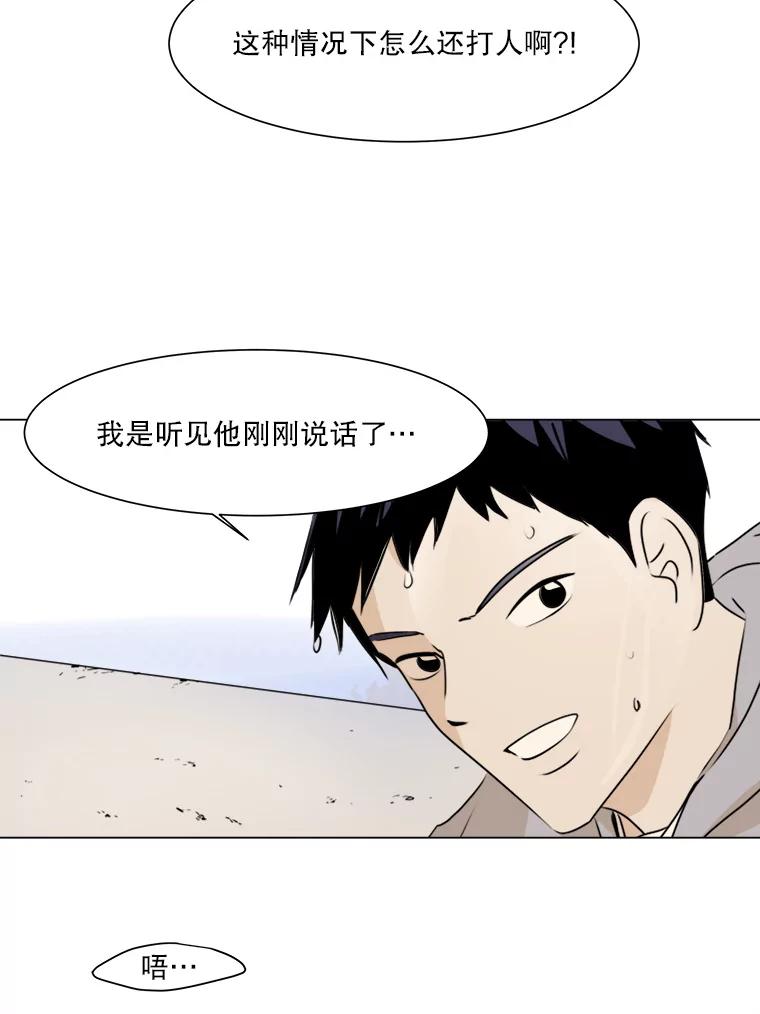 《寻找小艾》22.常青树 第20页
