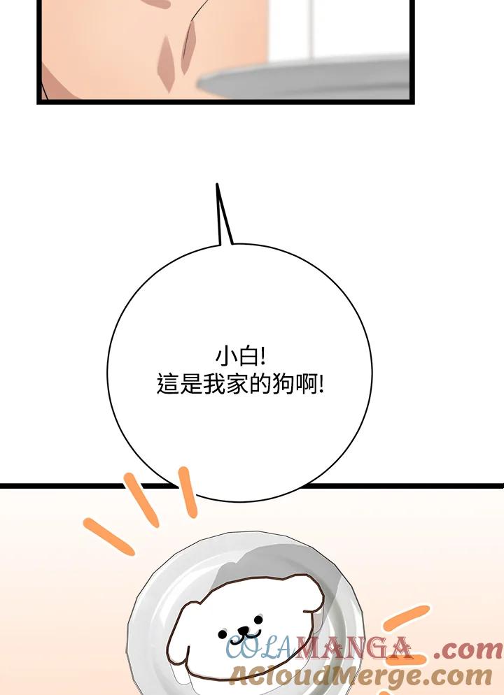 《木头男的恋爱顾问》第81话 第33页