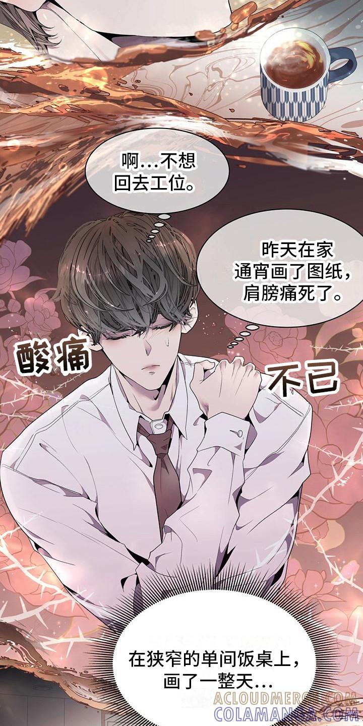 《虚情假意》第1章：虚假与真实 第17页