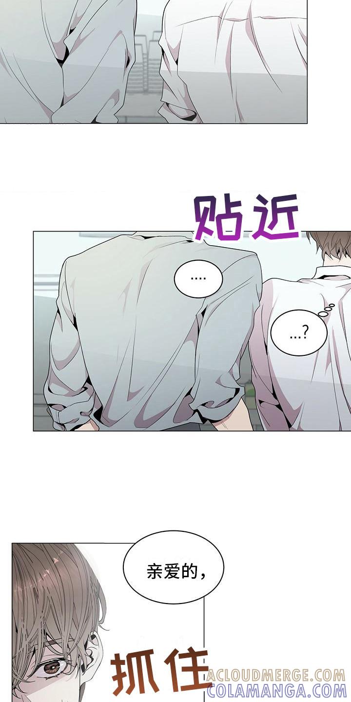 《虚情假意》第1章：虚假与真实 第19页