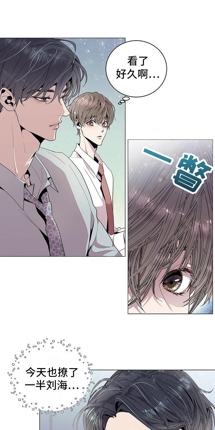 《虚情假意》第3章：完美精致 第10页