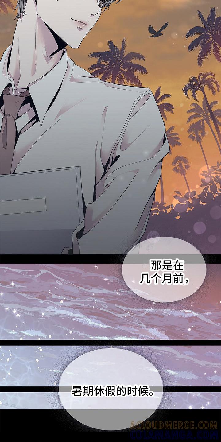 《虚情假意》第3章：完美精致 第17页
