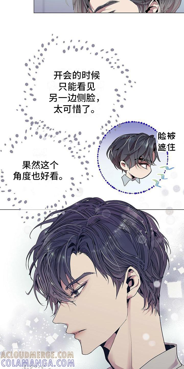《虚情假意》第3章：完美精致 第11页