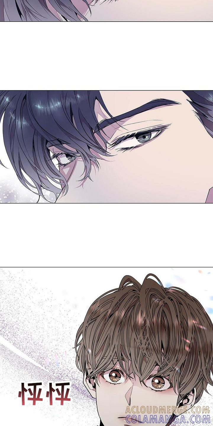《虚情假意》第3章：完美精致 第13页